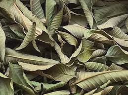 Dried Guava Leaf Tea