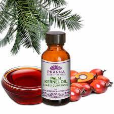 5 Priceless Health Benefits Of Palm Kernel Oil